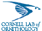 Cornell Lab of Ornitology